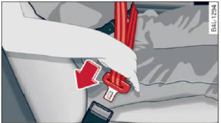 Safety belts